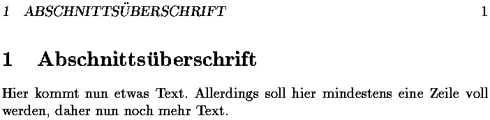 Bild: TeX-Ausgabe
